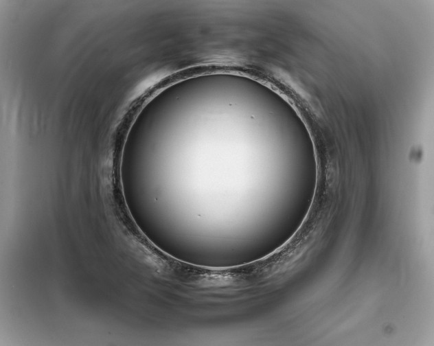X0000099461315200805091519