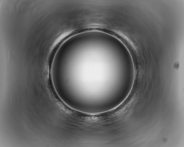 X0000099461317200805091519