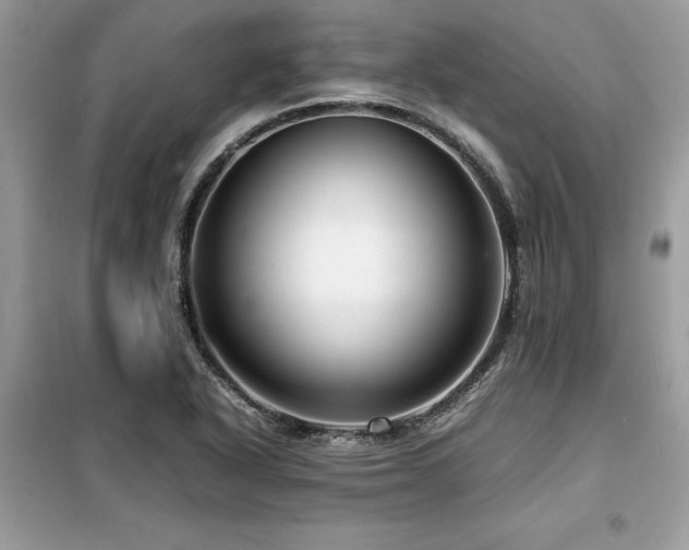 X0000099461318200805091519