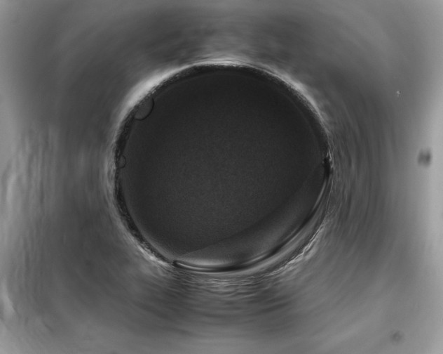 X0000099461319200805091519