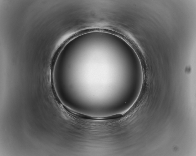 X0000099461320200805091519