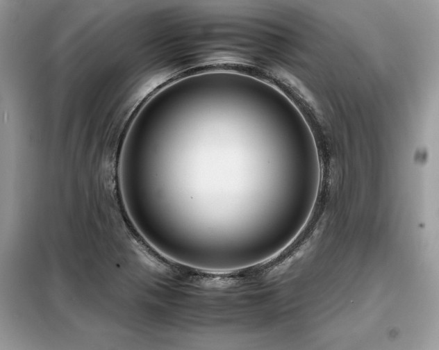 X0000099461321200805091519