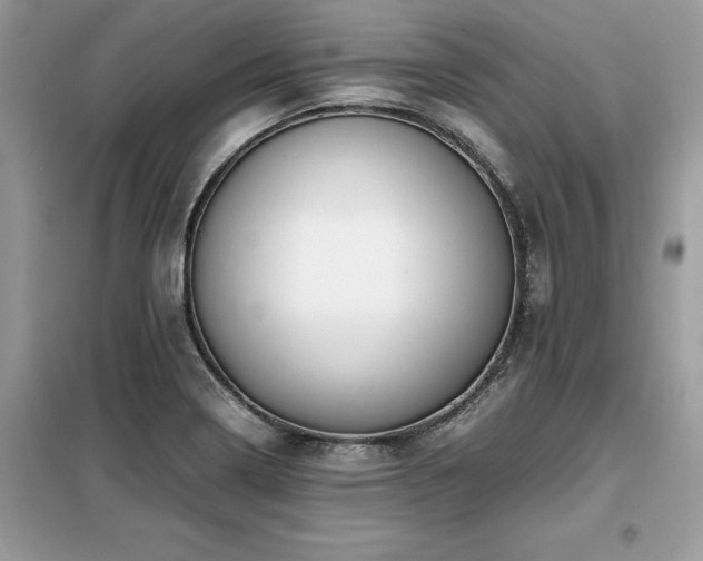 X0000099461322200805091519