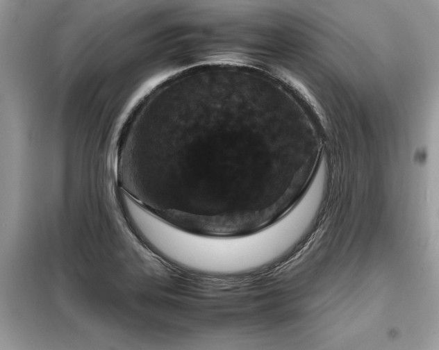 X0000099461323200805091519