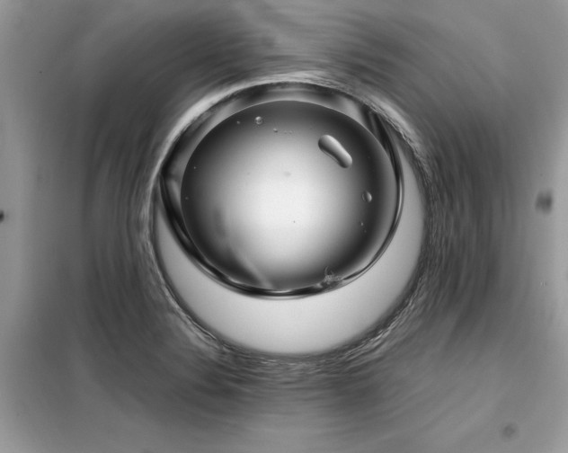 X0000099461324200805091519