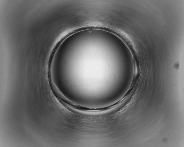 X0000099461326200805091519