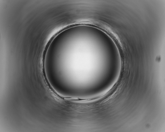 X0000099461328200805091519