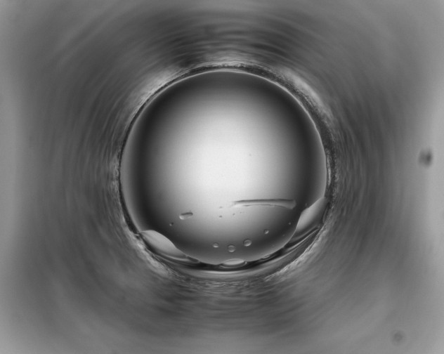 X0000099461329200805091519