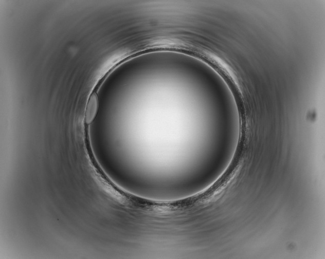 X0000099461330200805091519
