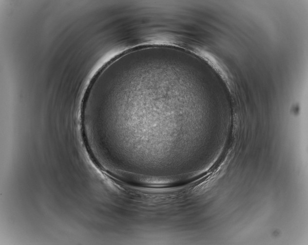 X0000099461331200805091519