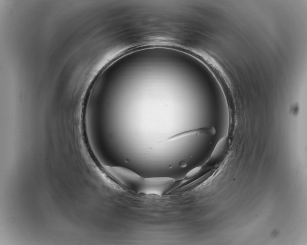 X0000099461333200805091519