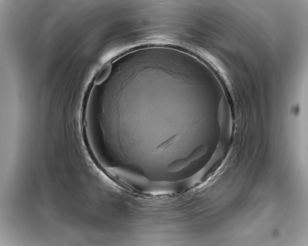 X0000099461334200805091519