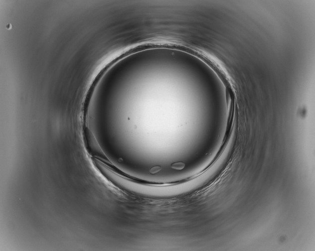 X0000099461335200805091519