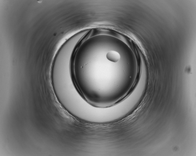 X0000099461336200805091519
