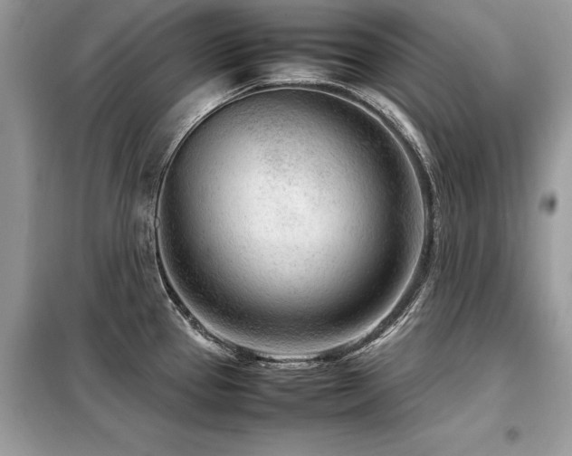 X0000099461337200805091519