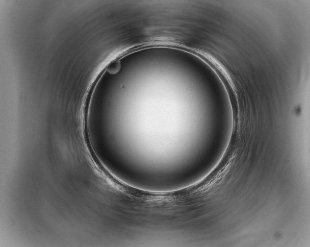 X0000099461341200805091519
