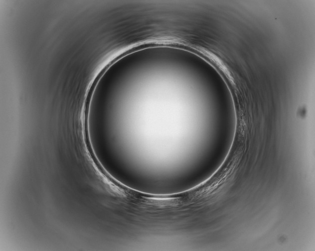 X0000099461343200805091519