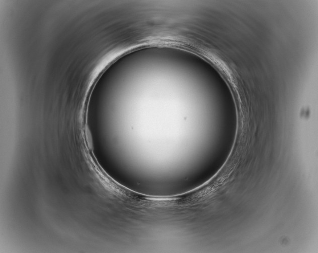 X0000099461344200805091519