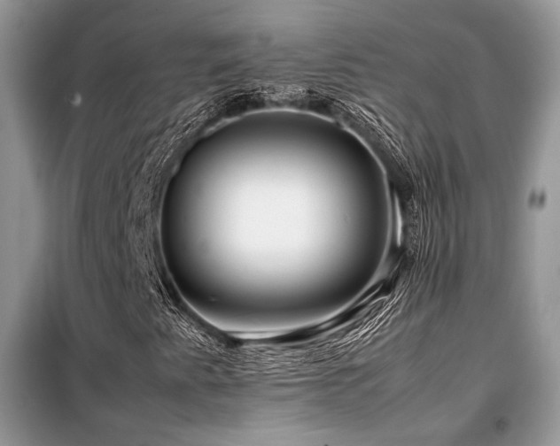 X0000099461345200805091519
