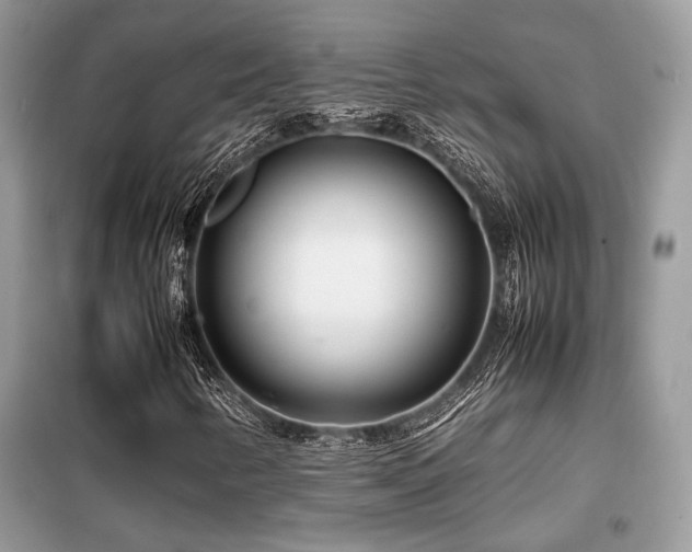 X0000099461346200805091519