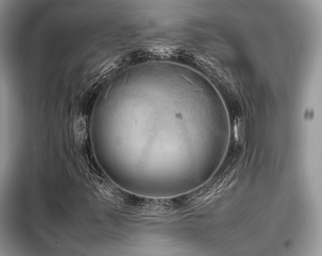 X0000099461347200805091519