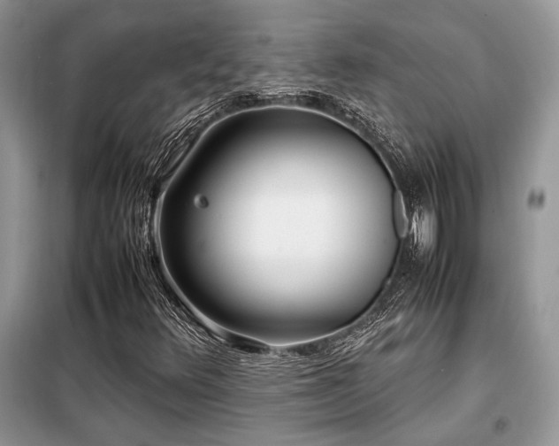 X0000099461348200805091519