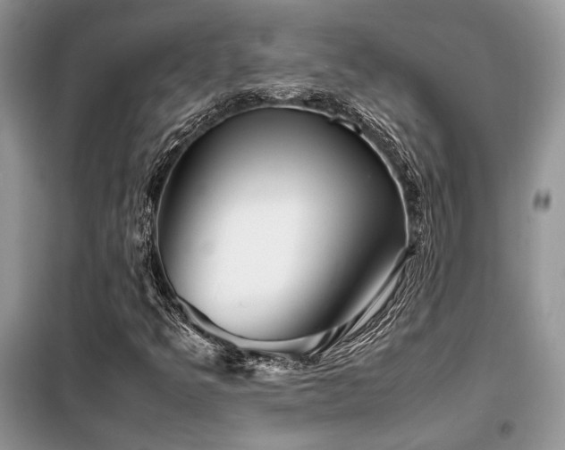 X0000099461349200805091519
