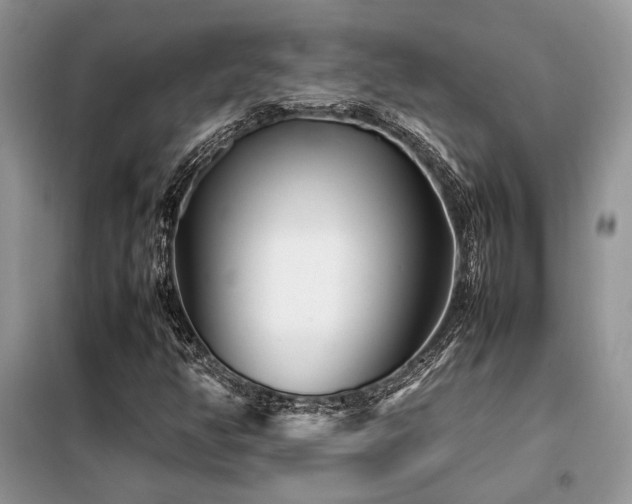 X0000099461350200805091519