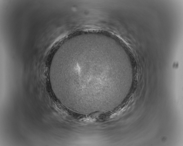 X0000099461351200805091519
