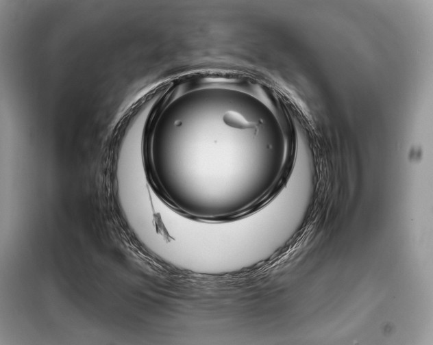 X0000099461352200805091519