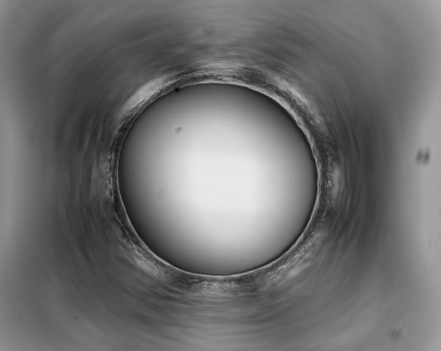 X0000099461354200805091518