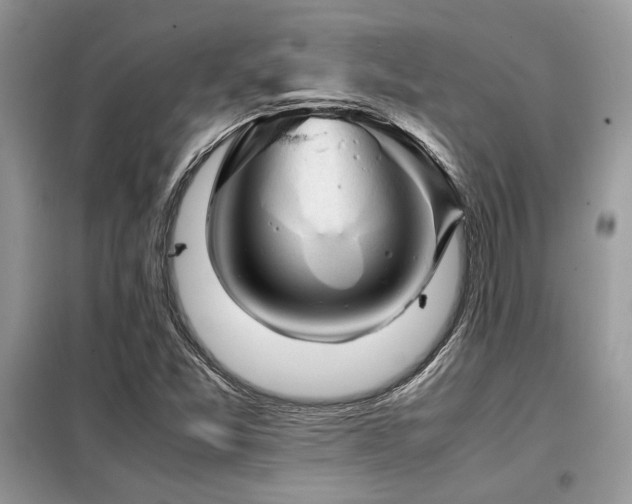 X0000099461357200805091518