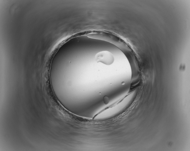 X0000099461359200805091518