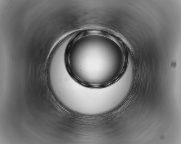 X0000099461364200805091518
