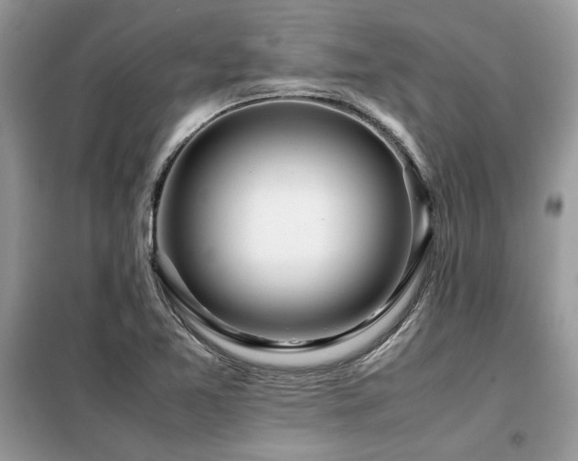 X0000099461365200805091518