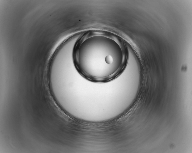 X0000099461368200805091518