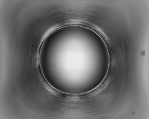 X0000099461370200805091518