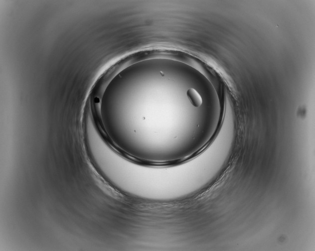 X0000099461372200805091518