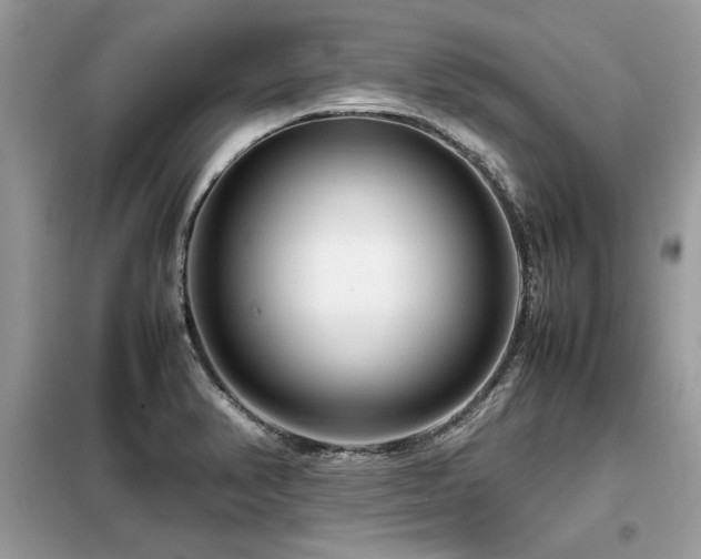 X0000099461374200805091518