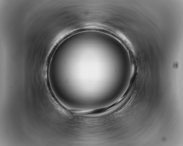 X0000099461376200805091518