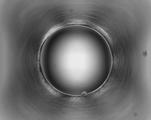 X0000099461378200805091518