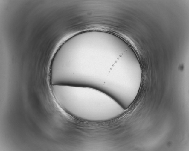 X0000099461379200805091518