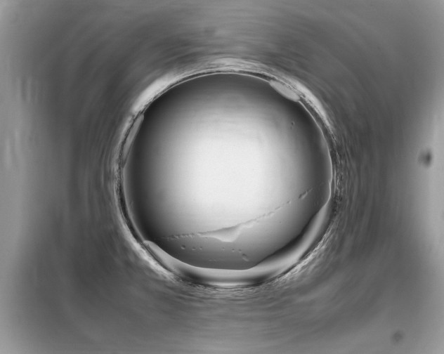 X0000099461381200805091518