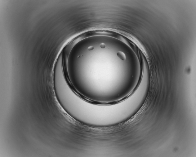 X0000099461388200805091518