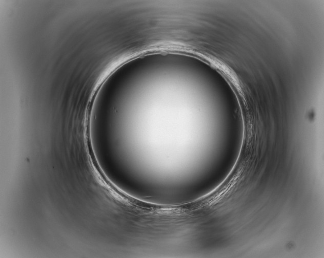 X0000099461390200805091518