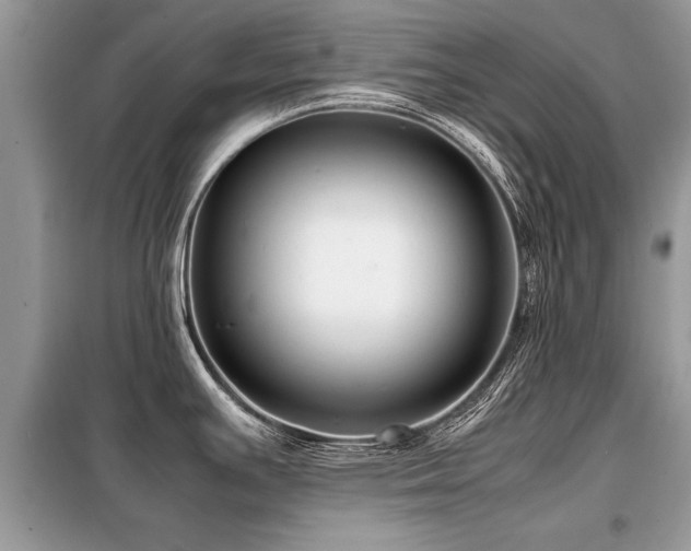 X0000099461391200805091518