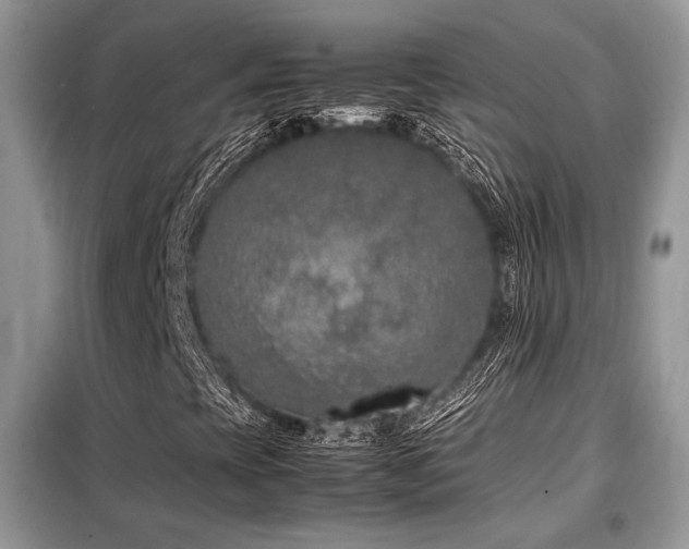 X0000099461393200805091517