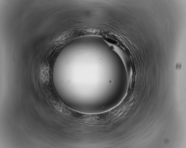 X0000099461394200805091517