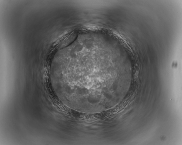 X0000099461397200805091517