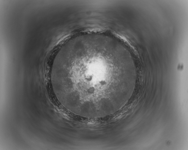 X0000099461399200805091517
